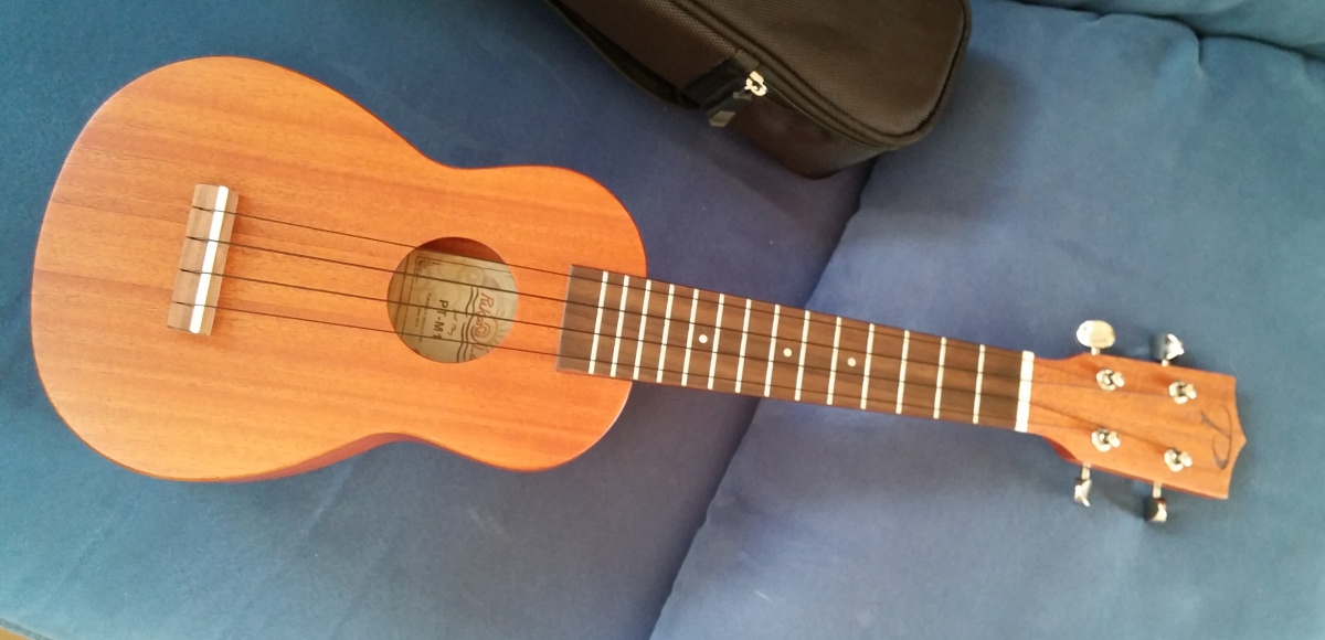 Mandolin and Ukulele A Japanese Duo Home