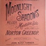 Moonlight Shadows Melody