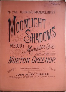 Moonlight Shadows Melody